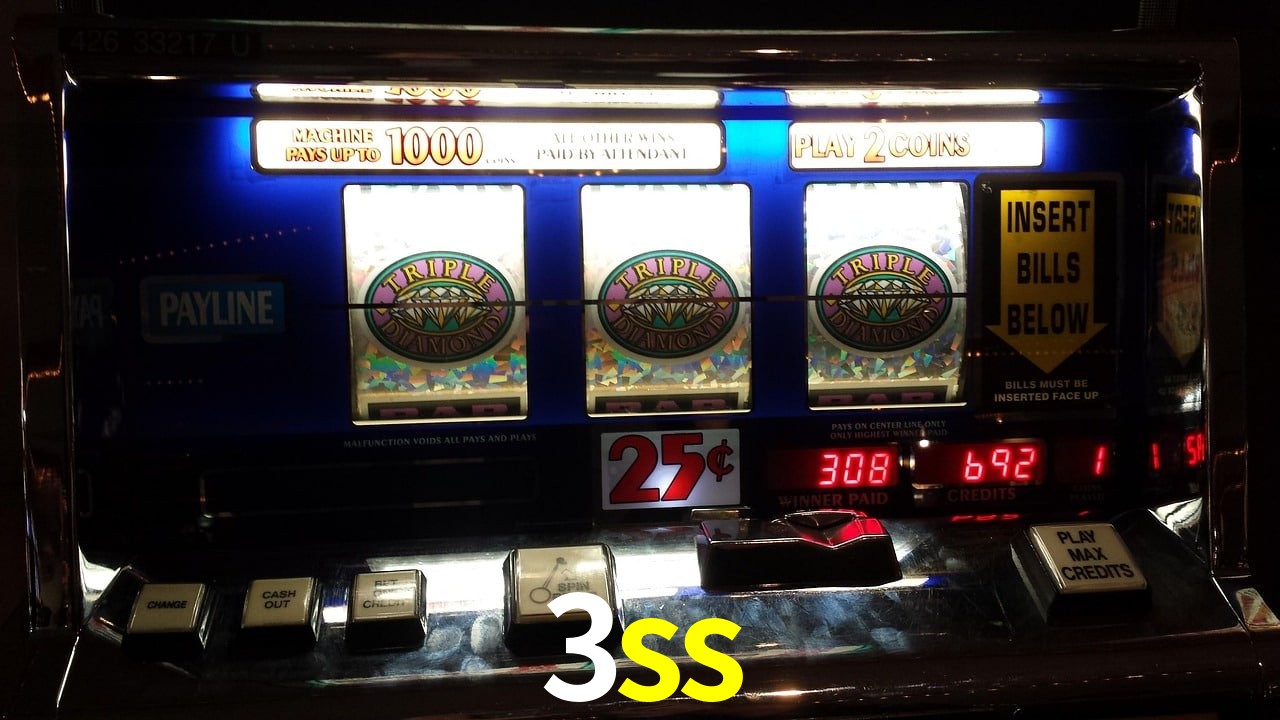 Experiência VIP 3ss