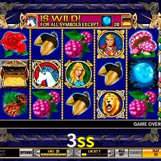 3ss Rio de Janeiro - Bonus Terms